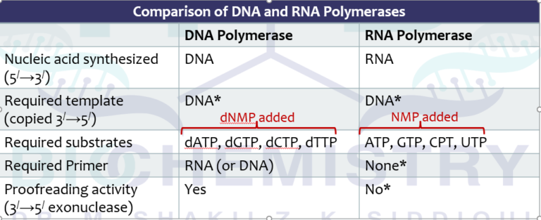 Comparison of Polymerases