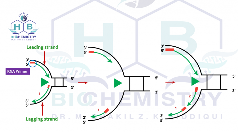 Replication2