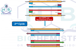 2nd Cycle