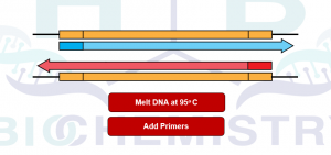 Polymerization