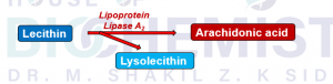 Arachidonic acid