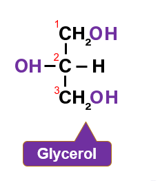 Glycerol