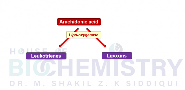 Non-cyclic Eisosanoids