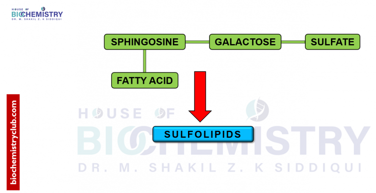 Sulfolipids