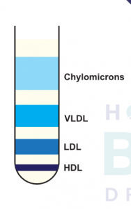 Test tube