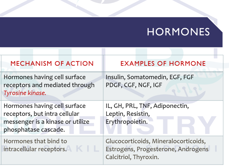 Mechanism of Action2