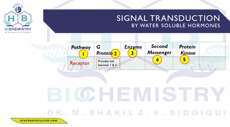 Steps of Signal
